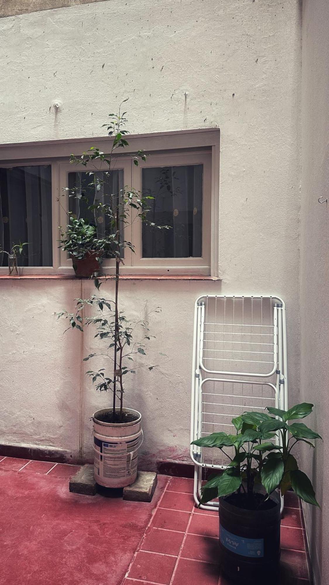 El Oasis Apartman Mendoza Kültér fotó