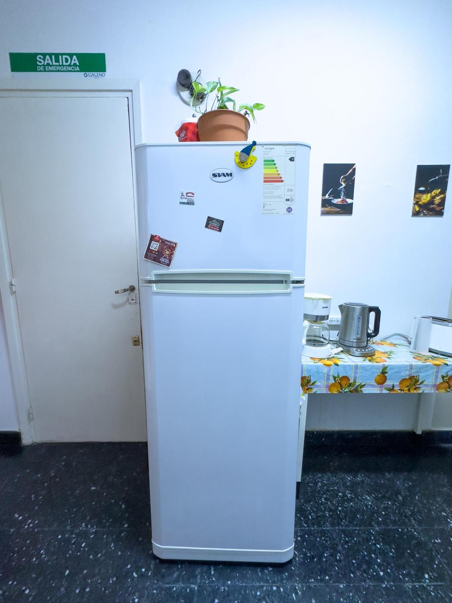 El Oasis Apartman Mendoza Kültér fotó